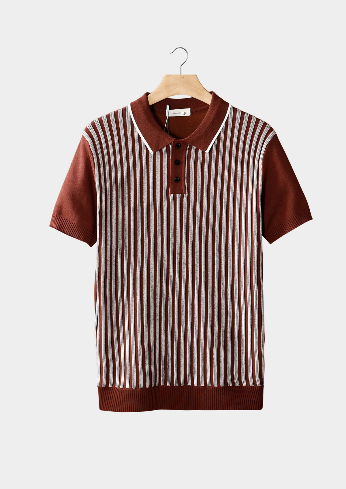 Rust Brown Vertical Striped Polo | Solmar